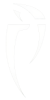 Zenithal Minds logo